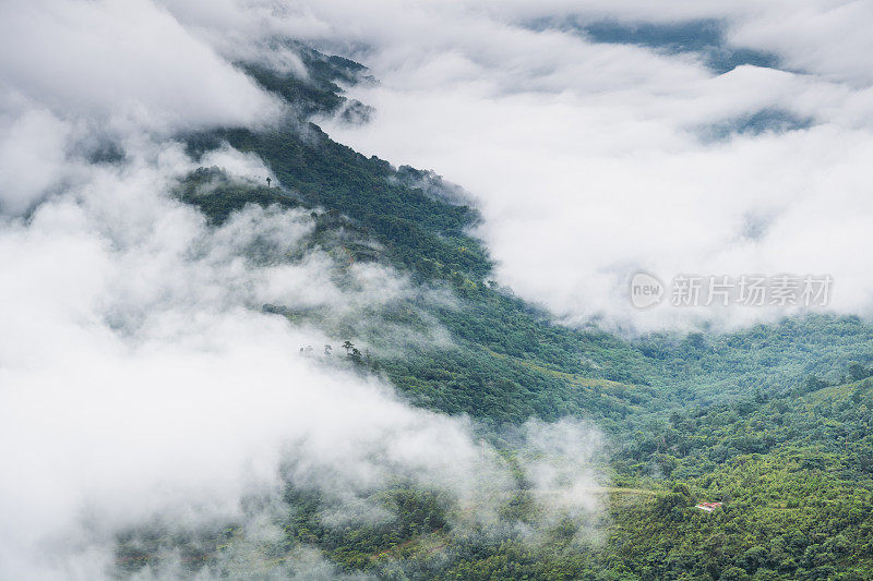 自然景观风景日出和薄雾覆盖森林和树木地区的山景在Phu Thap Boek，泰国泰国